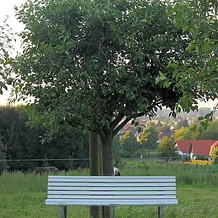 Hotel Haus Stork 3*