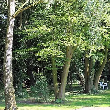 Hotel Haus Stork 3*