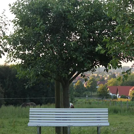 Haus Stork 3*
