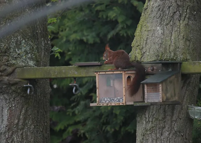 Haus Stork 3* Holzhausen (Minden-Lubbecke)