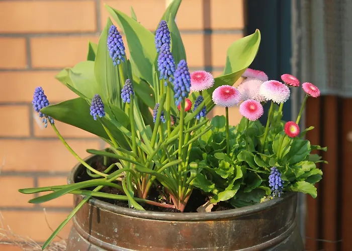 Haus Stork Holzhausen (Minden-Lubbecke)