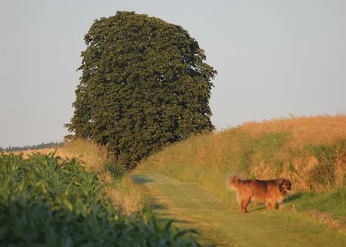 Hotell Haus Stork Holzhausen (Minden-Lubbecke)